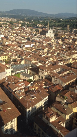 Bird's Eye View of Florence